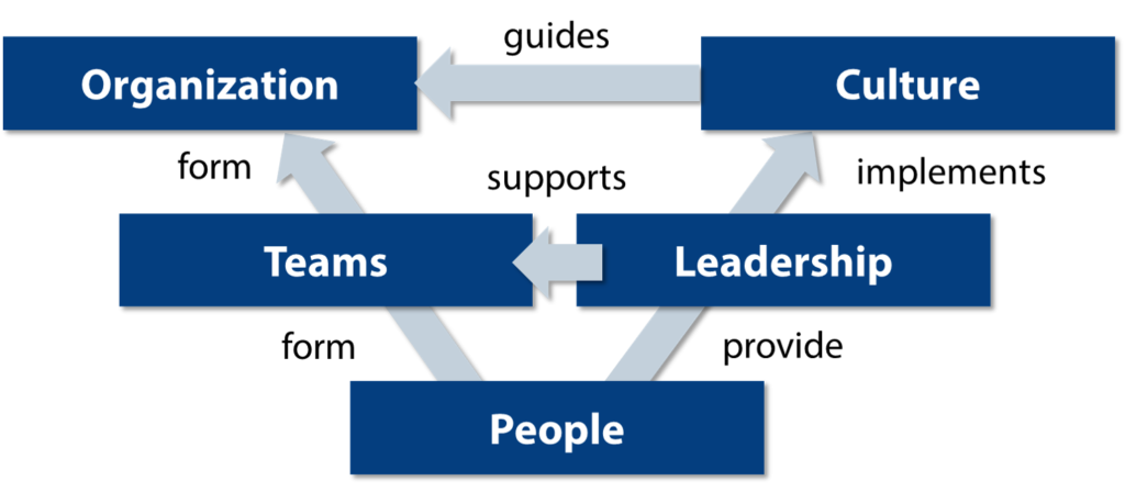 an agile transformation covers the domains of people, teams, leadership, culture and organization