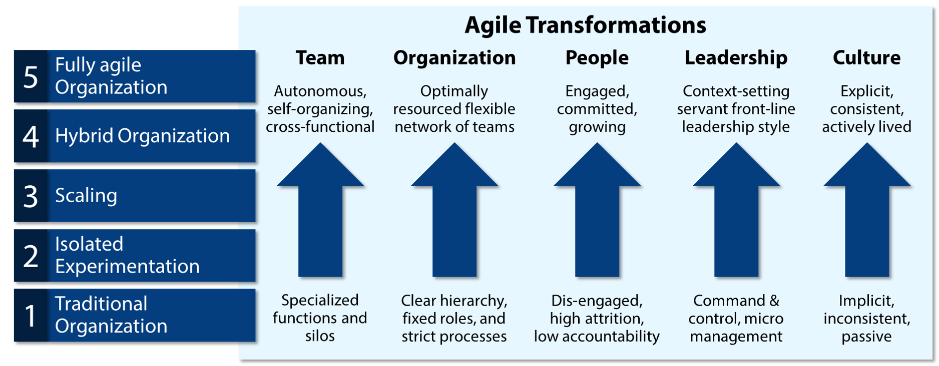 Agile Transformation Domains - My Business Agility