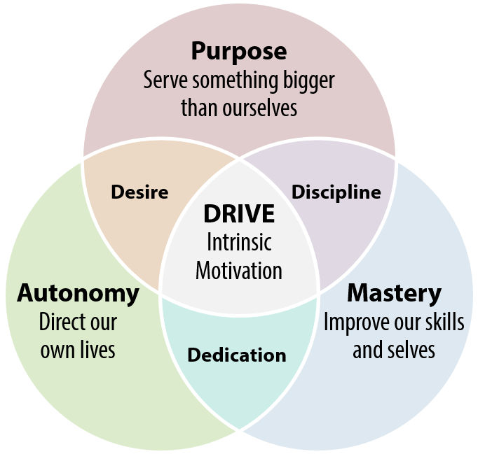 Drive - autonomy, mastery, purpose - My Business Agility www.mybusinessagility.com