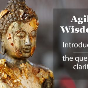 Read more about the article Agile wisdoms: Introduction – the quest for clarity